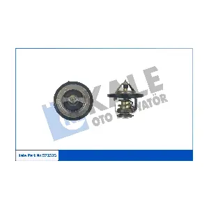 572525 KALE OTO RADYATOR