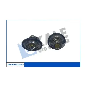 572900 KALE OTO RADYATOR