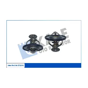 KALE OTO RADYATOR 572545