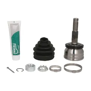 G11013PC PASCAL