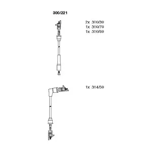300221 BREMI