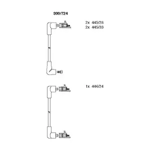 300/724 BREMI