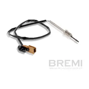 70013 BREMI