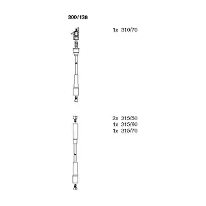 300138 BREMI