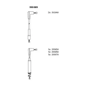 300/869 BREMI