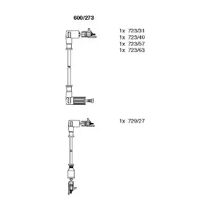 48821 FACET