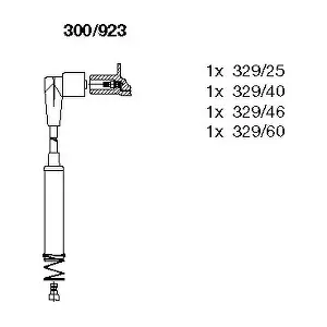 300/923 BREMI
