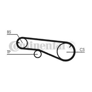 CT1109 CONTINENTAL CTAM BR