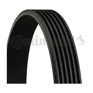 CONTINENTAL CTAM BR 6PK2155