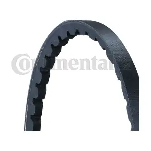 CONTINENTAL CTAM BR AVX10X900
