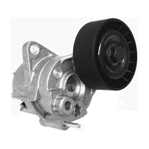 SKF Brazil VKM 4818