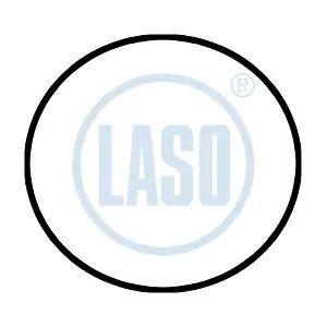 55334501 LASO