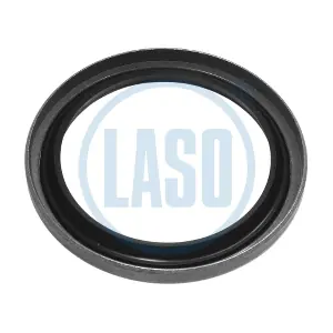 LASO D06504030