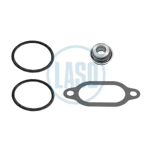 20582071A LASO