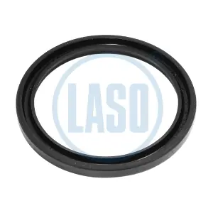 D06504029 LASO