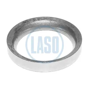8505 3109 LASO