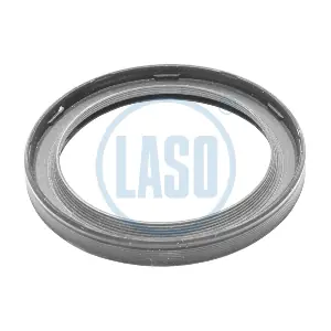 D06504036 LASO