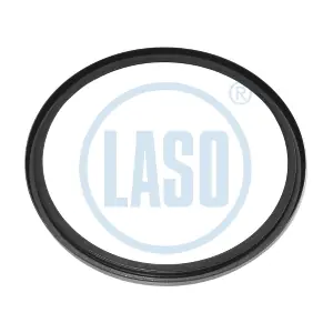 5533 4601 LASO