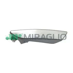 60196 MIRAGLIO