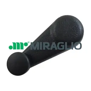 5096 MIRAGLIO