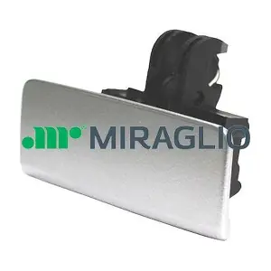 653 MIRAGLIO