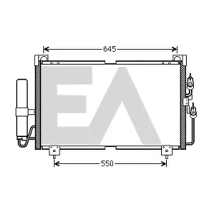 MN124248 EACLIMA