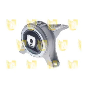 396590 UNIGOM