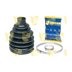 310314H.2 UNIGOM