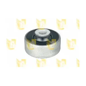 391891R UNIGOM
