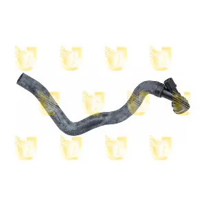 W9163 UNIGOM