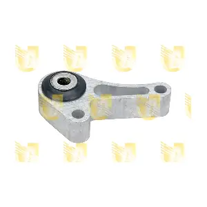 395707 UNIGOM