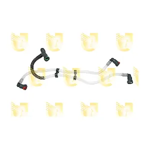 241754 UNIGOM