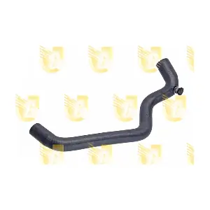 P2218 UNIGOM