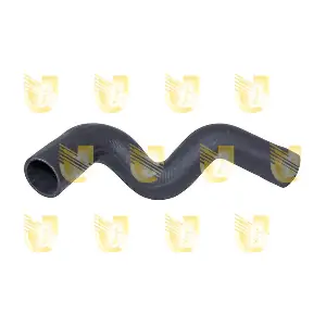P2089 UNIGOM