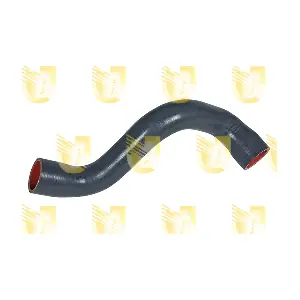 R4565 UNIGOM