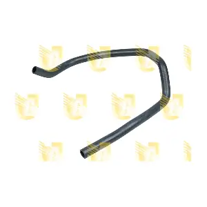 P6213 UNIGOM