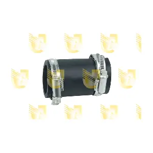P2229 UNIGOM