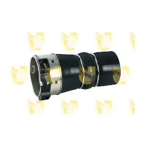 R4519 UNIGOM