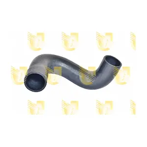 P2266 UNIGOM