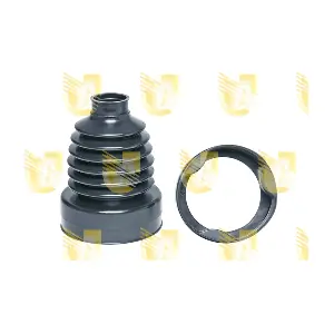 310509H UNIGOM