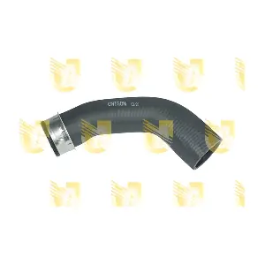 W9189 UNIGOM