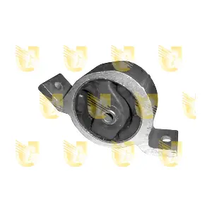 396921 UNIGOM