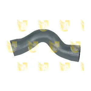W9656 UNIGOM