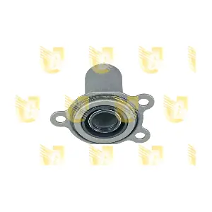 481805 UNIGOM