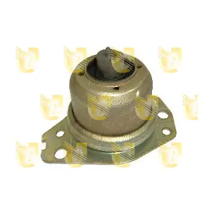 395281 UNIGOM