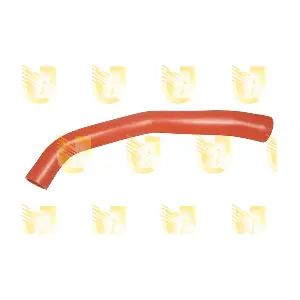 S3184 UNIGOM