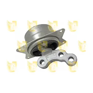 396579 UNIGOM