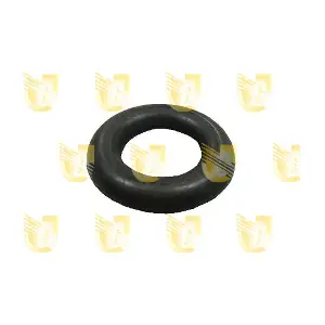 166003 UNIGOM