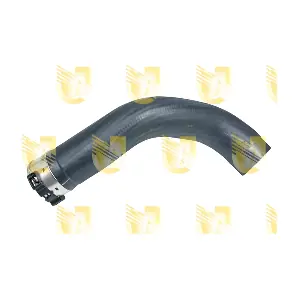 R4208 UNIGOM