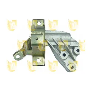 395518 UNIGOM